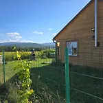 Sniezka * Wojcieszyce