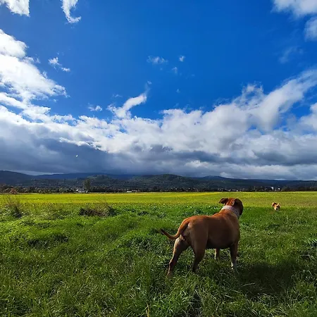 Dağ evi Sniezka Wojcieszyce