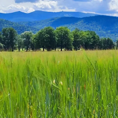 Sniezka * Wojcieszyce