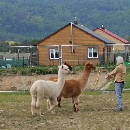 Dağ evi Sniezka Wojcieszyce