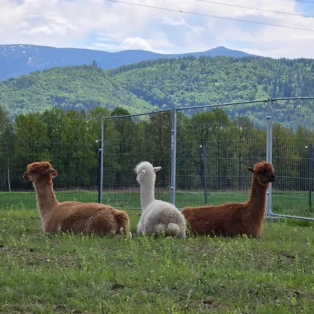 Sniezka * Wojcieszyce