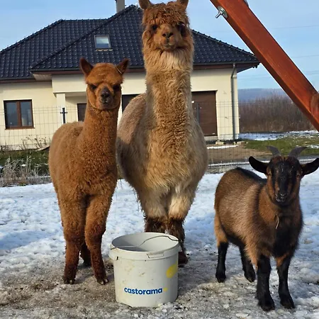 Domek alpejski śnieżka Wojcieszyce