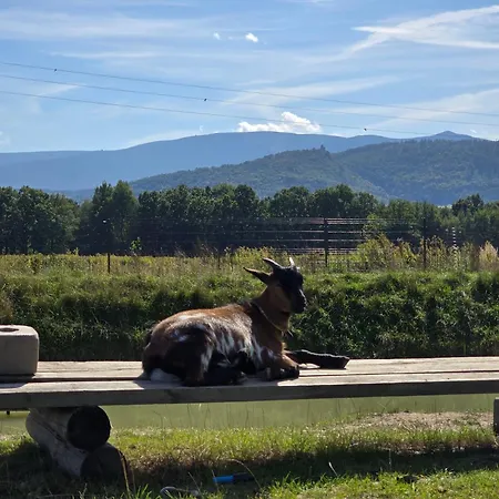 Шале Sniezka Wojcieszyce