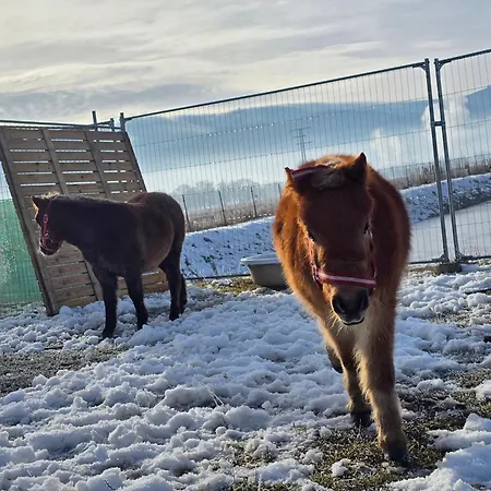 Sniezka Шале Wojcieszyce