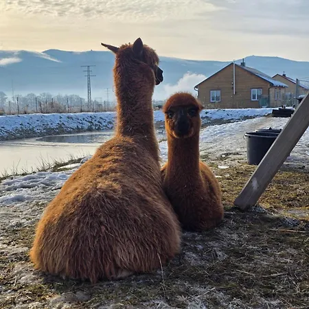 śnieżka Domek alpejski Wojcieszyce