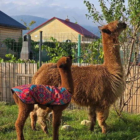 Sniezka Шале Wojcieszyce