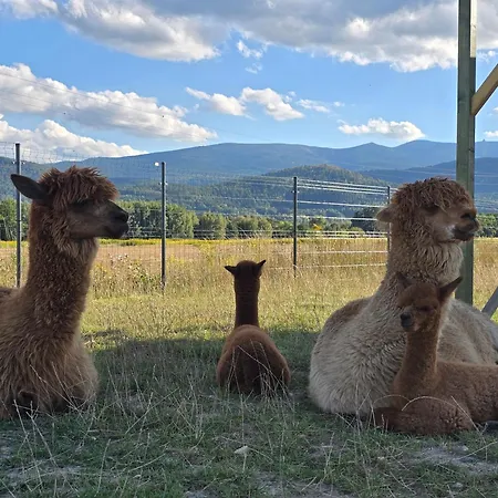 Шале Sniezka Wojcieszyce