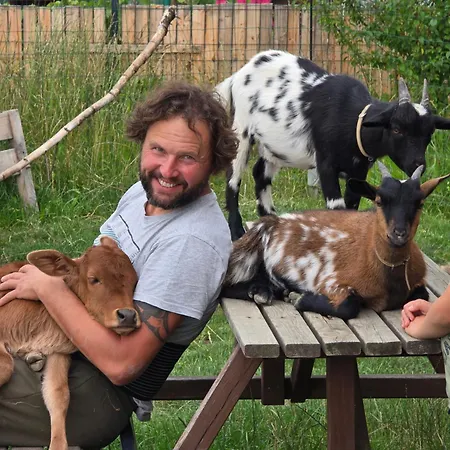 śnieżka Domek alpejski *