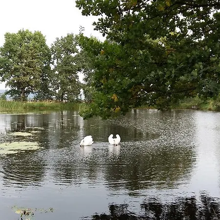 śnieżka Wojcieszyce