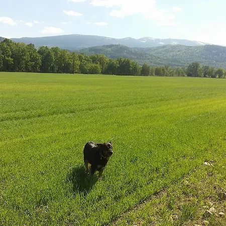 Sniezka 木屋 Wojcieszyce