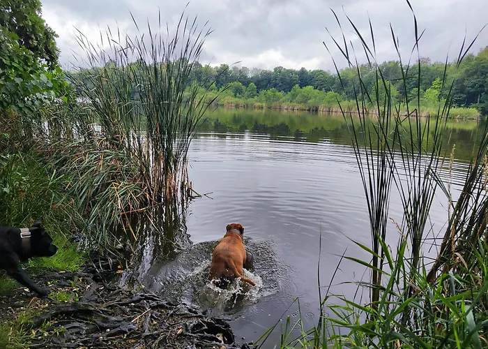Horská chata Sniezka *