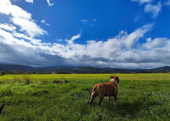 Horská chata Sniezka Wojcieszyce