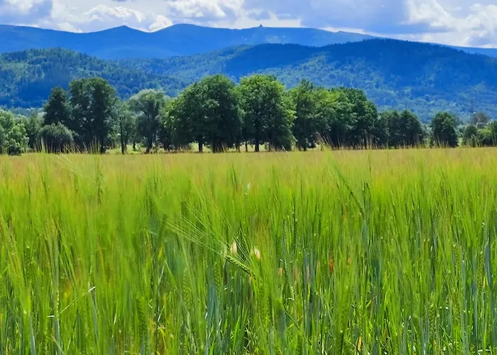 Sniezka * Wojcieszyce