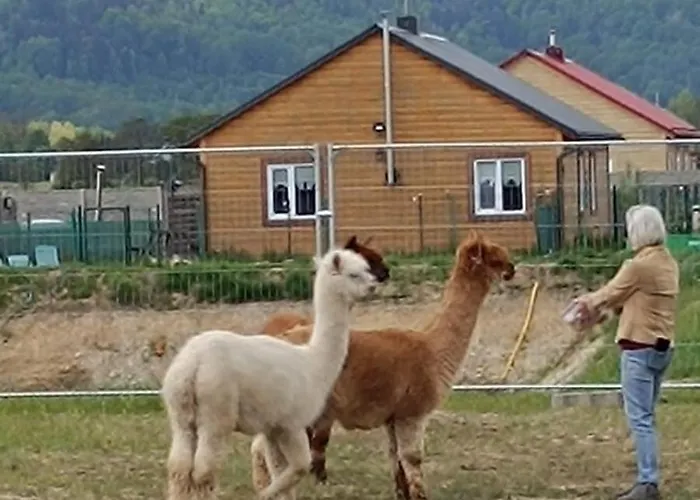 Horská chata Sniezka Wojcieszyce