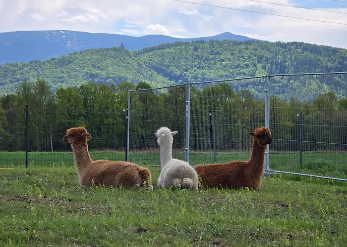 Sniezka * Wojcieszyce