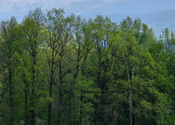 Sniezka Horská chata *