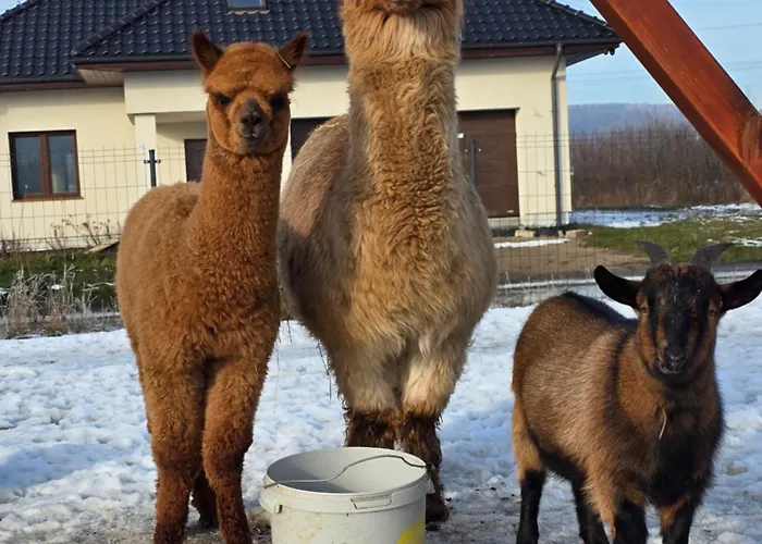 Chalet Sniezka Wojcieszyce