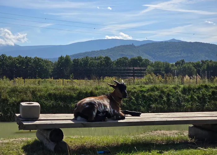 Horská chata Sniezka Wojcieszyce