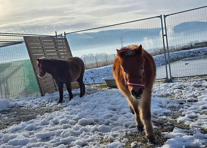 Sniezka Chalet Wojcieszyce