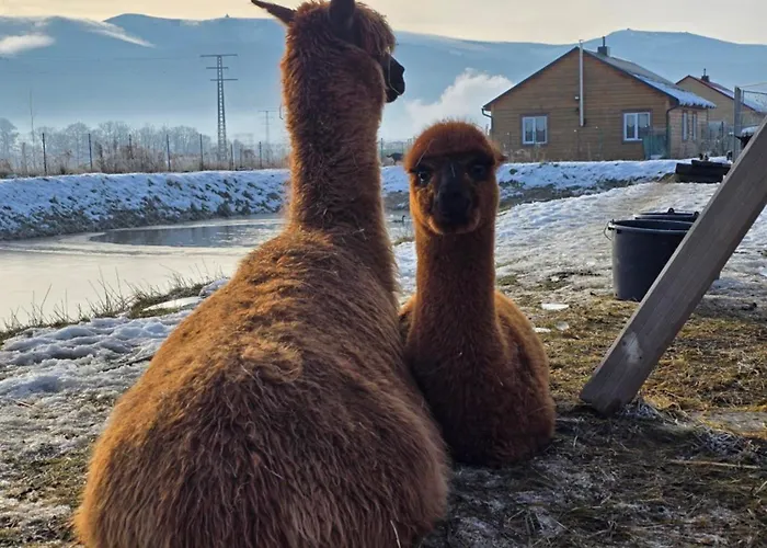 Sniezka Chalet Wojcieszyce