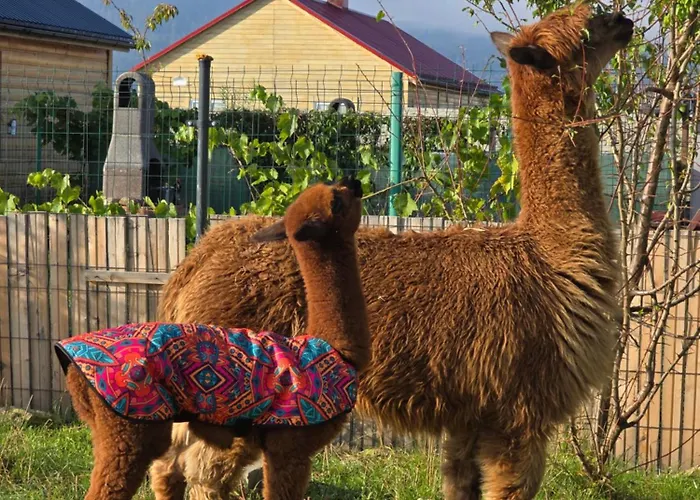 Sniezka Chalet Wojcieszyce