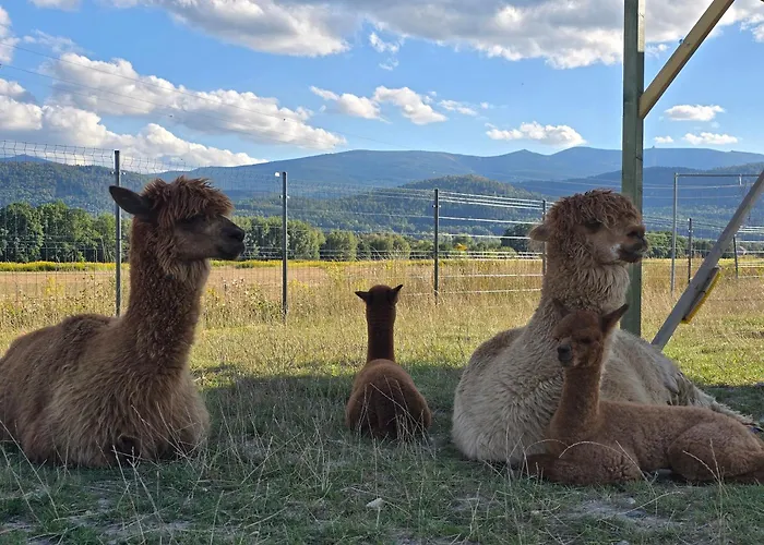 Horská chata Sniezka Wojcieszyce
