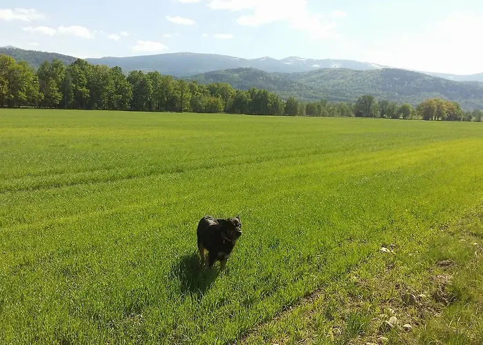 Sniezka Chalet Wojcieszyce